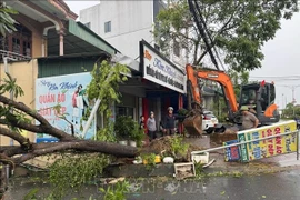 Typhoon Bualoi leaves trail of devastation in Thanh Hoa province. (Photo: VNA)