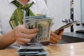 The daily reference exchange rate is set at 25,114 VND/USD on October 14. (Photo: VNA)