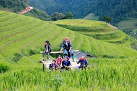 Vietnam remains in the High Human Development category