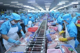 Seafood processed for export (Photo: VNA)