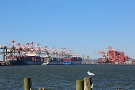 A view of the cargo port in Bayonne, New Jersey, the US. (Photo: Xinhua/VNA)