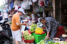 Hanoi moves towards plastic bag-free markets