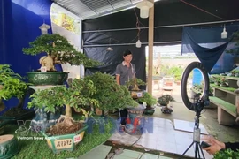 E-commerce drives agricultural expansion in Vinh Long