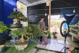 E-commerce drives agricultural expansion in Vinh Long
