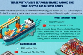 Three Vietnamese seaports named among the world’s Top 100 busiest ports