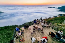 Gen Z taking over Vietnam’s tourism scene with experiential adventures