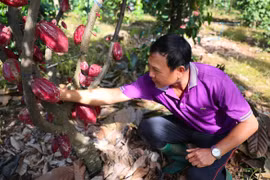 Agriculture targets 74 billion USD in exports in 2026