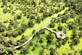 An Giang becomes globally competitive tourism hotspot