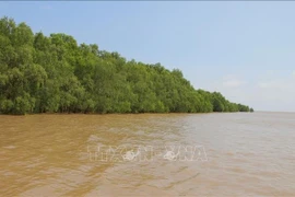 Green river islet unlocks ecotourism potential