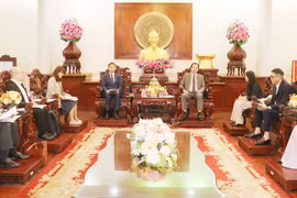 At the working session between Vice Chairman of the municipal People's Committee Vuong Quoc Nam and Chief Representative of JETRO Ho Chi Minh City Okabe Mitsutoshi (Photo: VNA)