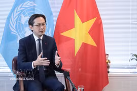 Vietnam ready to make active contributions at 11th NPT Review Conference