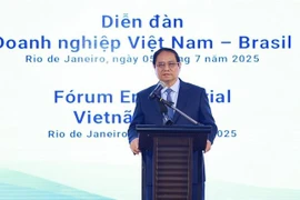 PM vows favourable conditions for Brazilian firms to successfully invest in Vietnam