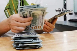 The daily reference exchange rate is set at 25,098 VND/USD on October 24. (Photo: VNA)