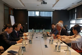 At the meeting between Vietnamese Deputy Prime Minister and Foreign Minister Bui Thanh Son and President and Chair of the Board of Directors of the Asian Infrastructure Investment Bank on May 26 (Photo: VNA)