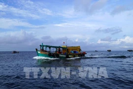 A fishing boat operating in the fishing ground of Kien Giang province. (Photo: VNA)