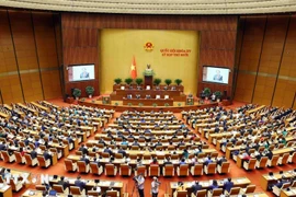 A view of the 10th session of the 15th National Assembly (Photo: VNA)