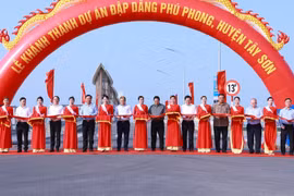 PM pushes for infrastructure development, substandard housing elimination in Binh Dinh