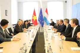 The meeting between Permanent Deputy PM Nguyen Hoa Binh and Luxembourg Minister of Finance Gilles Roth on March 21 (Photo: VNA)