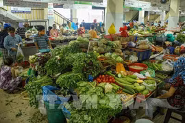 Ensuring essential goods supply in response to Typhoon Wipha