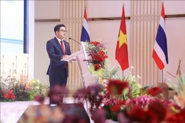 Vietnamese General Consul Dinh Hoang Linh speaks at the event. (Photo: VNA)