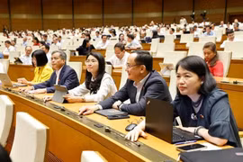 NA passes amended laws on corporate income tax, excise tax