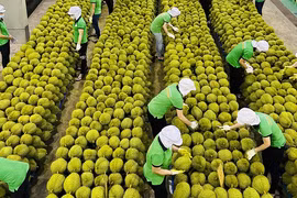 Diversifying markets – key for agricultural product exports to achieve yearly target