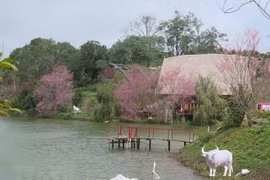 Dak Ke lake - a popular tourism destination in Mang Den town (Photo: VNA)
