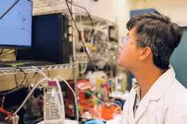 CO2L Tech startup joins hands with Helen Co., Ltd, a desiccant material manufacturer in HCM City, to carry out production in a trial basis at a Helen factory. (Photo: baodautu.vn)