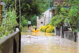 Typhoon Wipha leaves widespread damage, more heavy rain expected