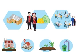 Key achievements of the National Target Programme 2021–2025