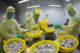 Vietnam secures top five spot in Singapore's seafood market