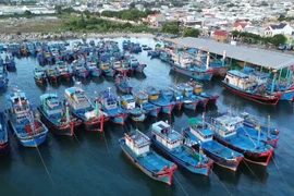 Khanh Hoa tightens fisheries management to combat IUU fishing