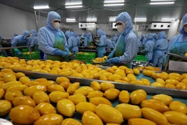 Agro-forestry-aquatic product exports increase over 13% in Q1