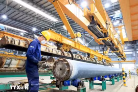 Production at an FDI firm in Phu My 3 Intensive Industrial Park (Photo: VNA)