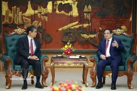 Prime Minister calls on Japan to support Vietnam’s energy security