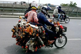 2-year-old girl dies from bird flu in Cambodia
