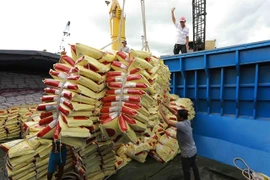 Transporting rice for export (Photo: VNA)