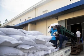 More than 5,500 tonnes of rice will be allocated to eight localities to help them prepare for the Lunar New Year 2025 and the lean season in the year. (Photo: VNA)