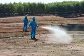 AO detoxification at Bien Hoa airbase (Photo: VNA)