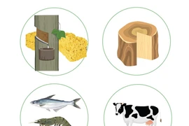 First four months of 2025: Agro-forestry-fishery exports rise by 10.7%