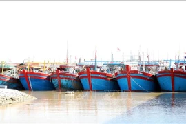 Ninh Binh steps up awareness raising to combat illegal fishing