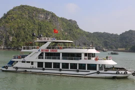 Multiple localities record surge in early year tourism revenues