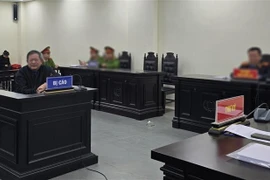 Defendant Tran Dinh Trien at the court. (Photo: VNA)