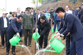 State President attends tree-planting festival launch in Lao Cai