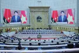 Vietnam seeks to transform partnership with Angola into model for South – South cooperation: President