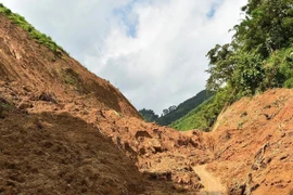 Landslide in Ngoa village, Yen Phu commune, Tuyen Quang province (Photo: VNA)
