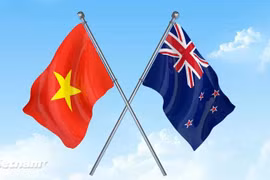 Vietnam and New Zealand boast untapped potential to strengthen cooperation and bring their ties to a new high. (Photo: VNA)