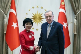 Vietnamese Ambassador to Türkiye Dang Thi Thu Ha (L) and Turkish President Recep Tayyip Erdogan (Photo: VNA)