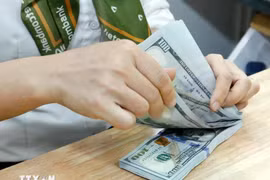 The daily reference exchange rate for the US dollar is set at 24,333 VND/USD on January 16. (Photo: VNA)