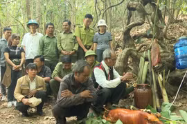 Unique forest worship ritual of Jrai ethnic people